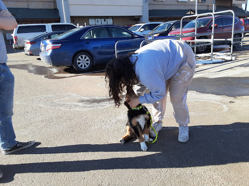 Pet Supply Store «PetSmart», reviews and photos, 8695 Park Meadows Center Dr, Lone Tree, CO 80124, USA