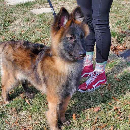 Pet Store «Friendly Pets», reviews and photos, 625 Friendly Center Rd, Greensboro, NC 27408, USA