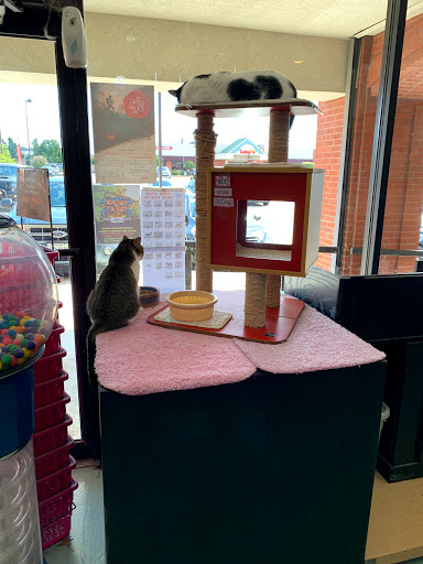Pet Store «Wet Pets N Critters», reviews and photos, 103 TX-281 Loop, Longview, TX 75605, USA