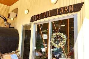 Pine Tail Farm image
