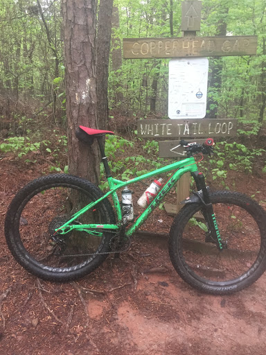 Bicycle Repair Shop «Bike Town USA», reviews and photos, 1604 Dawsonville Hwy, Gainesville, GA 30501, USA