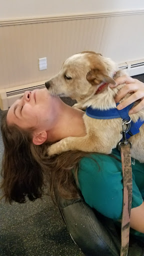 Northwood Veterinary Hospital image