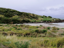 Zdjęcie Pipikaretu Beach dziki obszar
