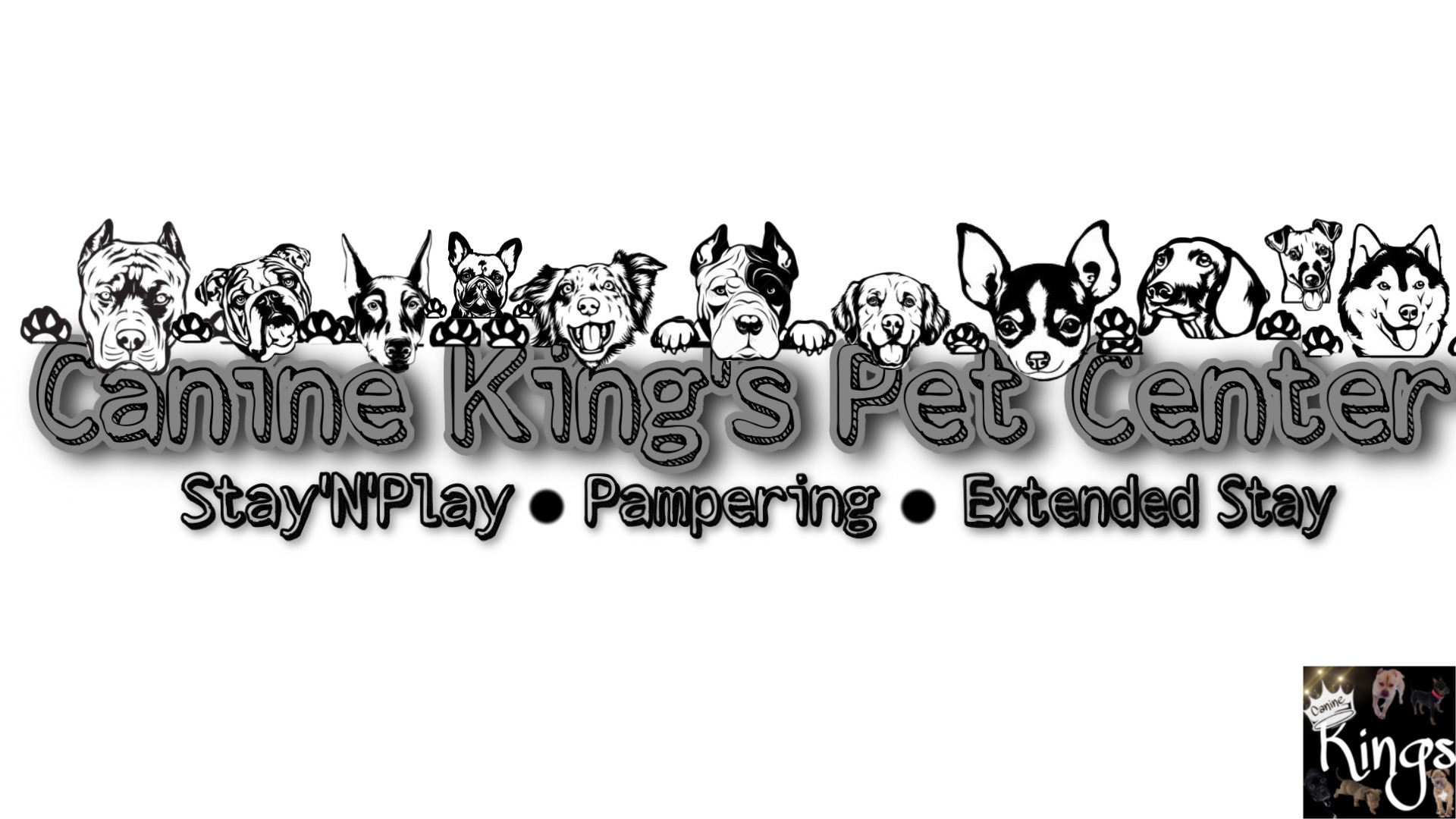Canine Kings Pet Center