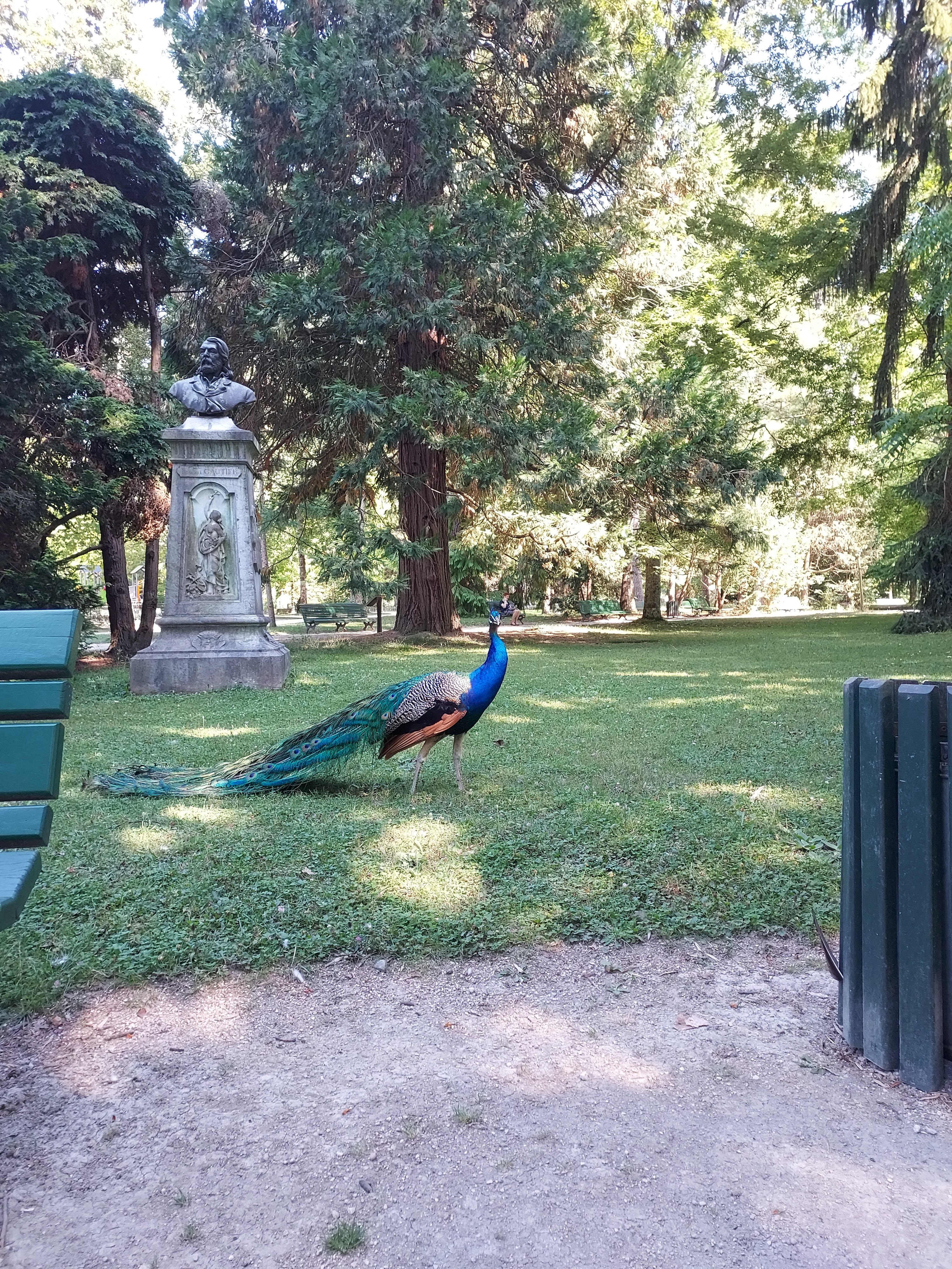 Photo n° 1 de l'avis de Pierre.a fait le 14/07/2022 à 19:44