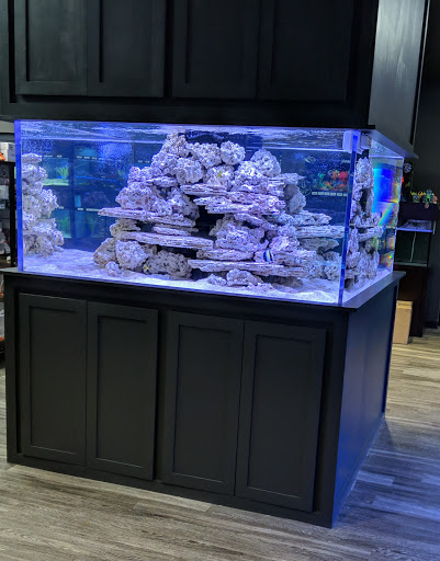 Tropical Fish Store «Aquarium Artisans», reviews and photos, 8005 Plainfield Rd #11, Cincinnati, OH 45236, USA