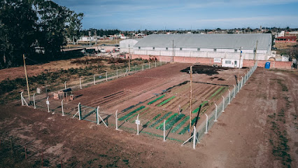 Huerta Agroecológica - Fundación MoviPort