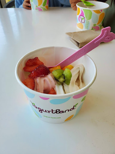 Yogurtland Seal Beach