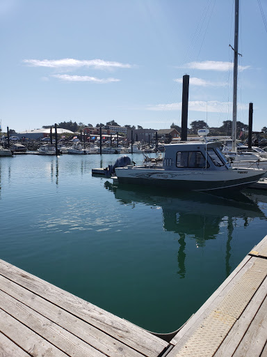 Coffee Shop «Bandon Coffee Cafe», reviews and photos, 365 2nd St SE, Bandon, OR 97411, USA