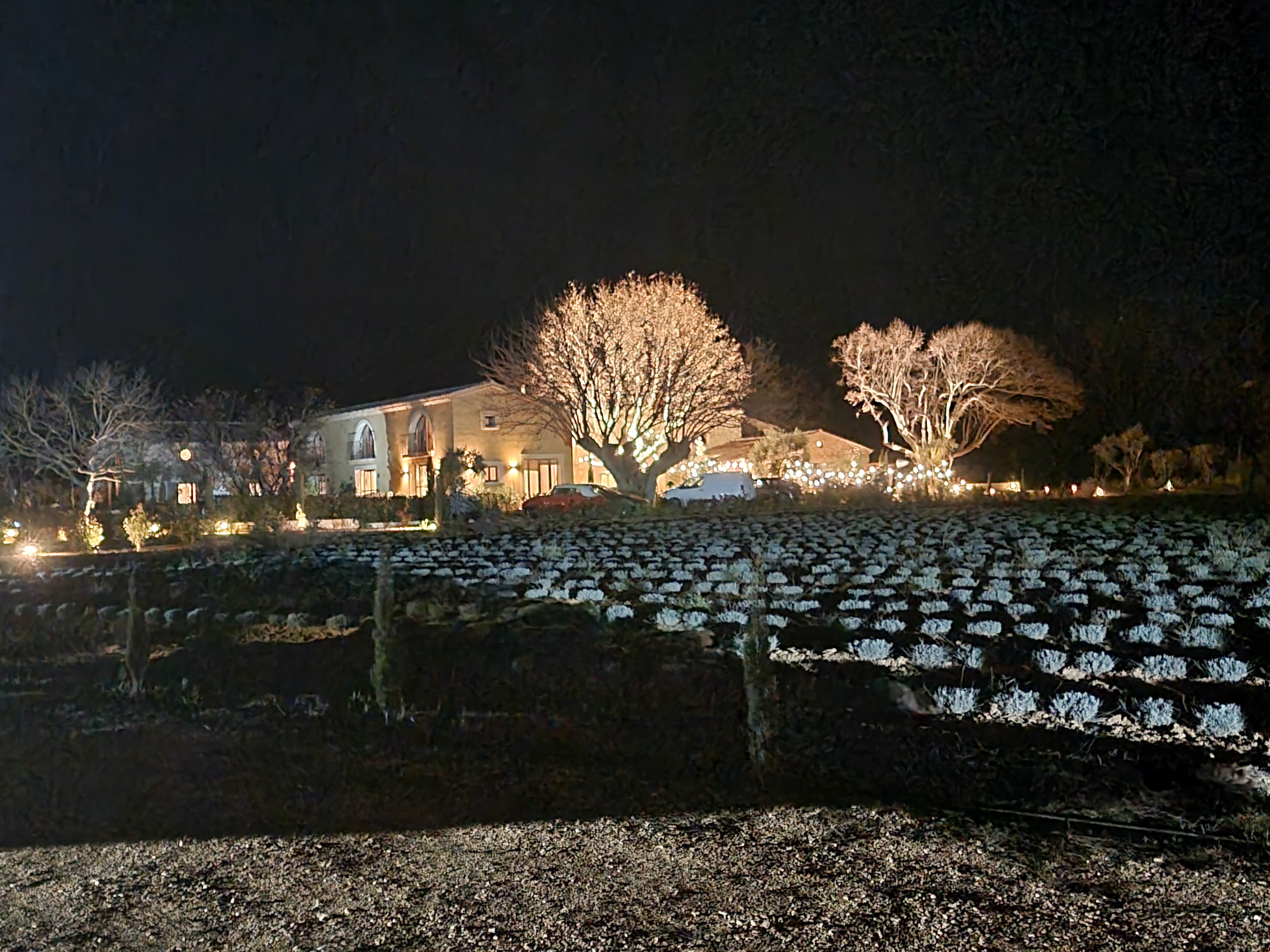 Photo n° 1 de l'avis de Ian. fait le 18/12/2023 à 11:42