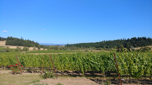 Winery «Zenith Vineyard», reviews and photos, 5657 Zena Rd NW, Salem, OR 97304, USA