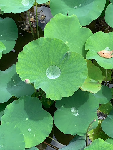 Top 20 cửa hàng altech Huyện Hoa Lư Ninh Bình 2022