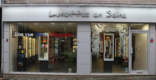 Lunettes En Seine à Rouen