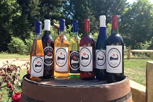 Cape Cod Winery image