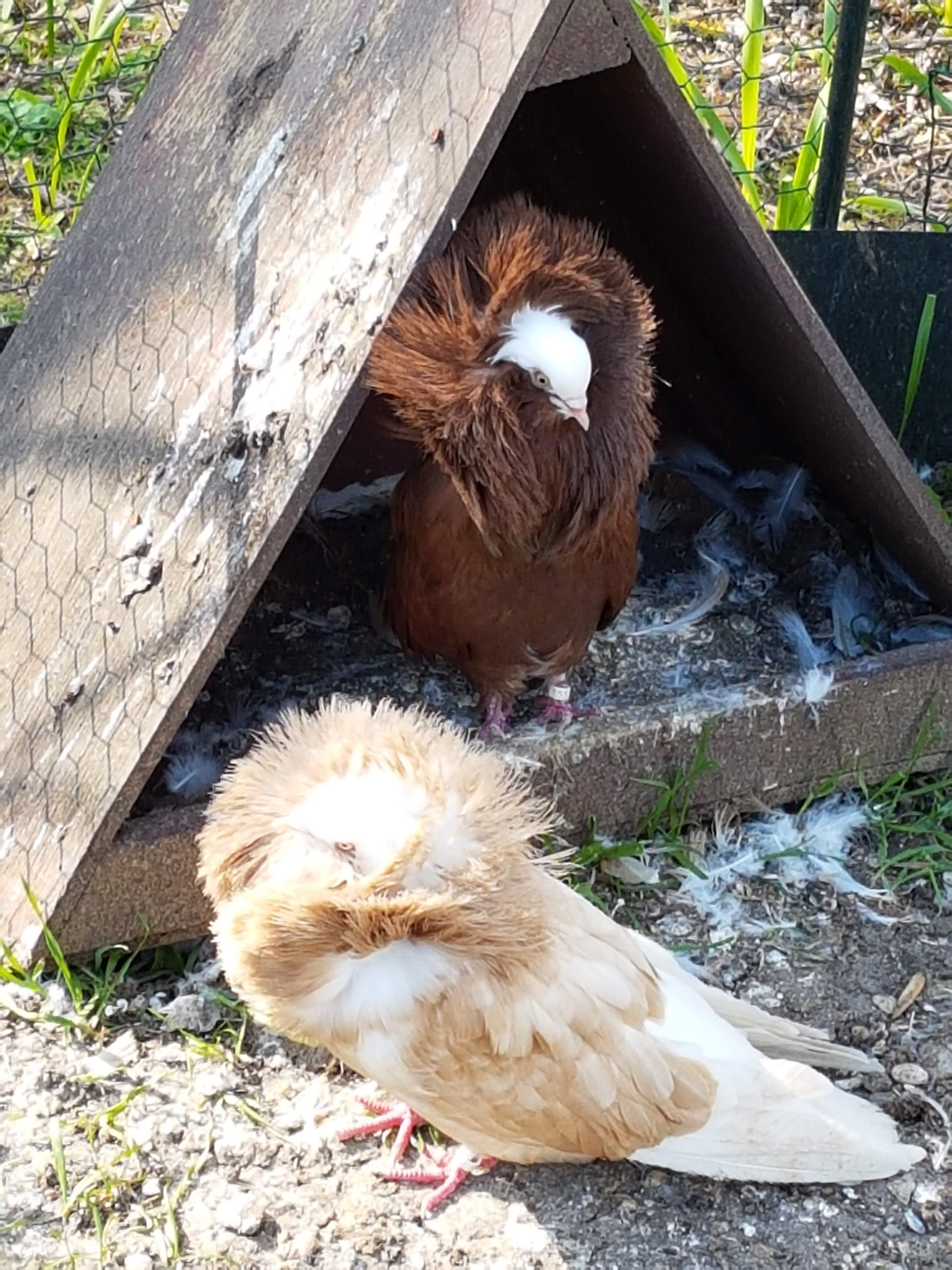 Photo n° 8 de l'avis de j.c. fait le 30/03/2019 à 19:26