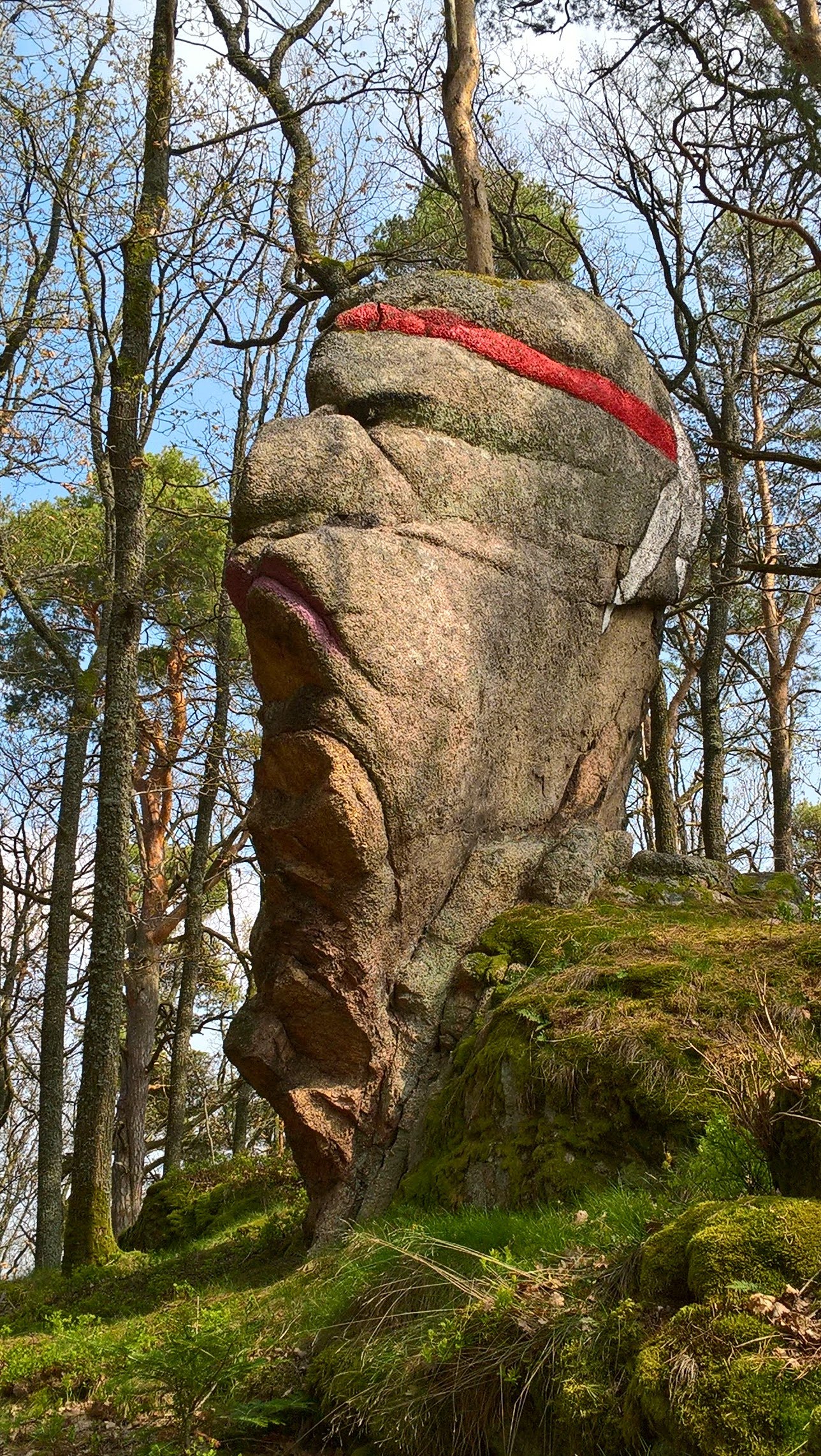 Photo n° 1 de l'avis de M-O.a fait le 30/08/2019 à 21:36