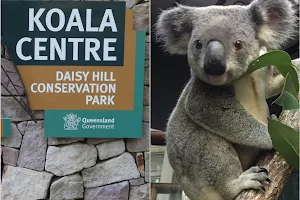 Daisy Hill Koala Centre image