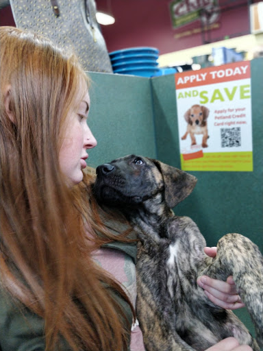 Pet Store «Petland Montgomery», reviews and photos, 7127 Eastchase Pkwy, Montgomery, AL 36117, USA