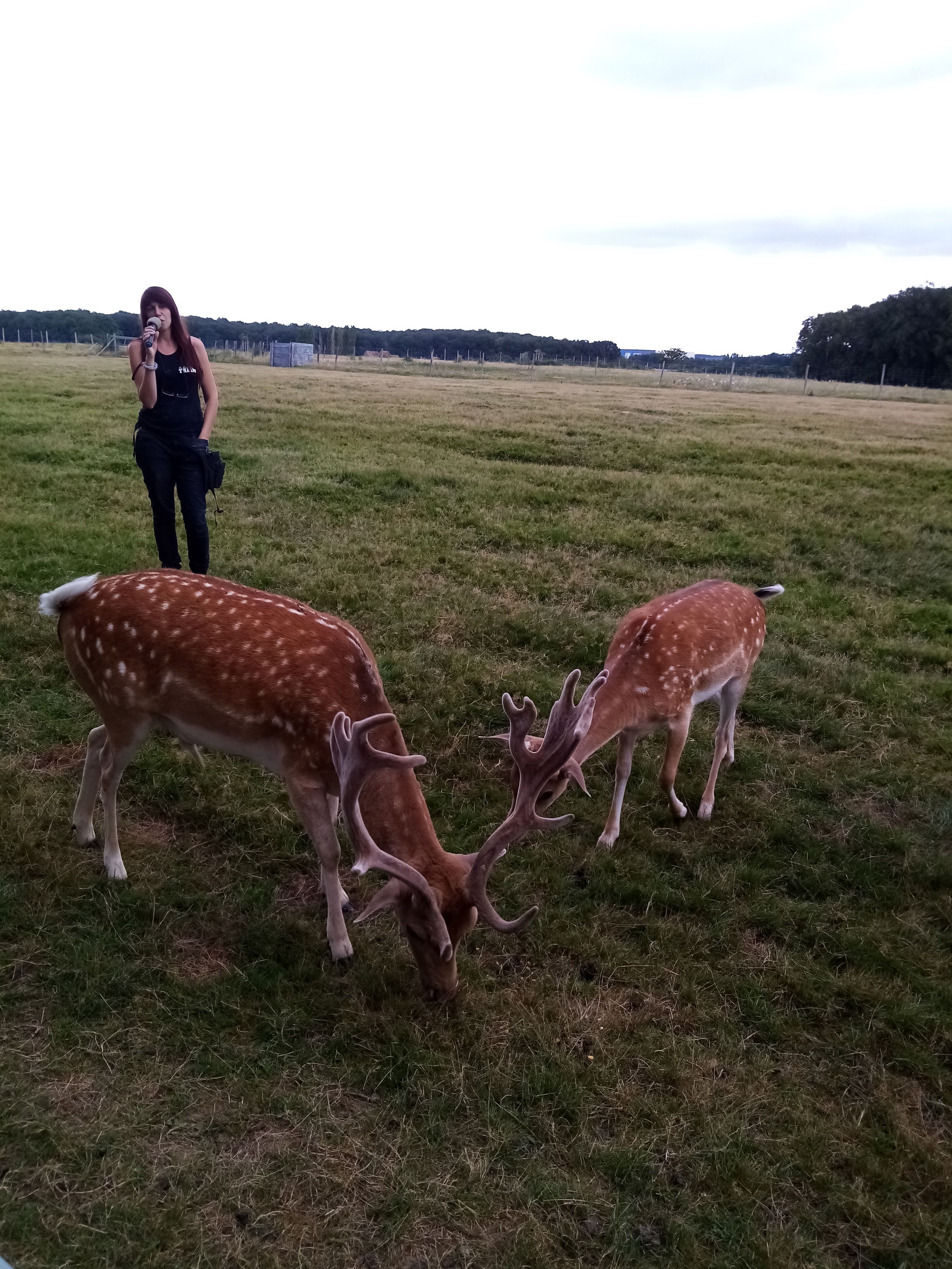 Photo n° 30 de l'avis de Aurelie.u fait le 17/08/2021 à 19:49