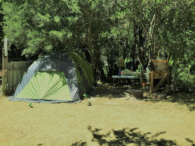 camping bullileon