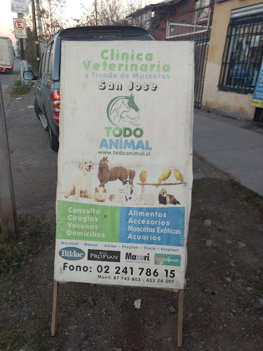 Clinica Veterinaria Todo Animal - Veterinario