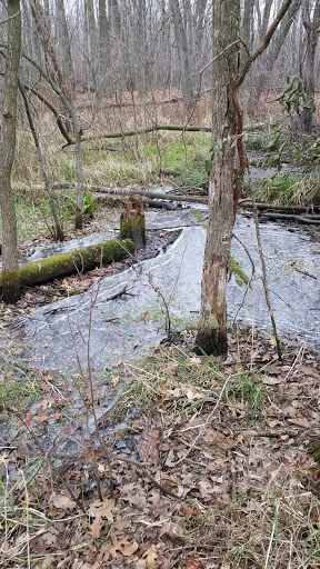 Park «Baker Park Reserve - Near-Wilderness Settlement», reviews and photos, 4001 County Rd 24, Maple Plain, MN 55359, USA