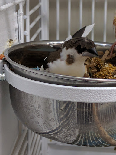 Pet Supply Store «Pet Supplies Plus», reviews and photos, 101 Sutton Ave, Oxford, MA 01540, USA