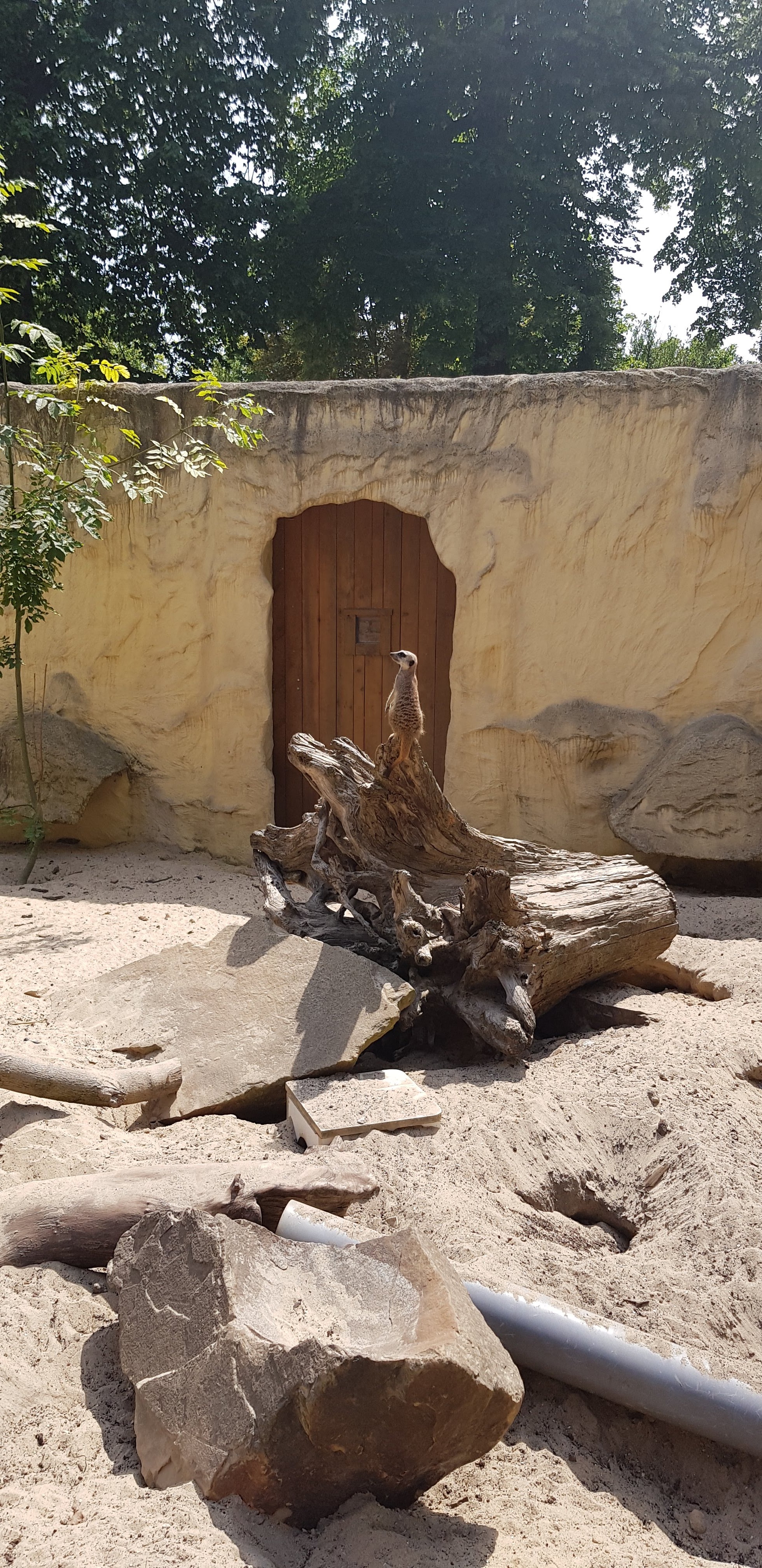 Photo n° 39 de l'avis de Nuk3d.t fait le 13/10/2019 à 18:58