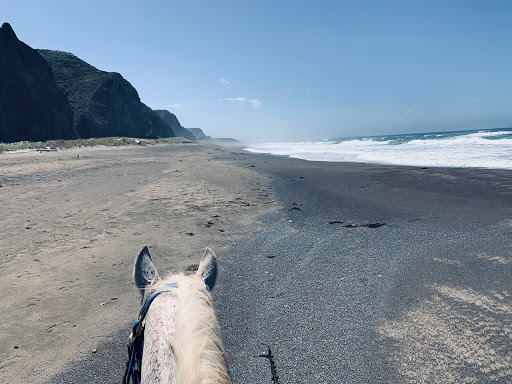 Stable «Ross Ranch», reviews and photos, 28300 Philo Greenwood Rd, Elk, CA 95432, USA