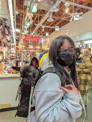 Pet Store «Bow Wow Meow», reviews and photos, 2150 Polk St, San Francisco, CA 94109, USA