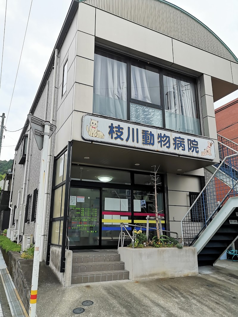 枝川動物病院