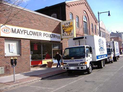 Mayflower Poultry Co, 621 Cambridge St, Cambridge, MA 02141, USA, 