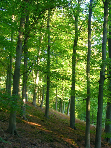 Beoordelingen van Bois de Lauzelle in Ottignies-Louvain-la-Neuve - Parkeergarage