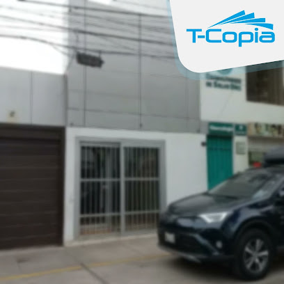 T-COPIA PARDO