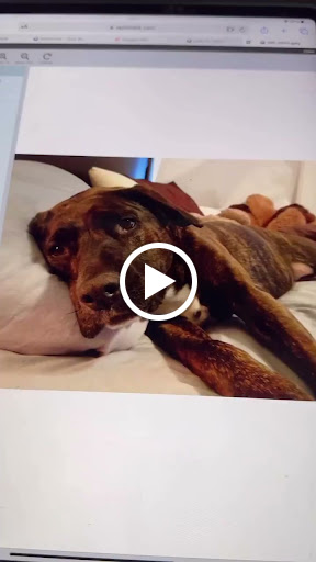 Explore alt tattoo ideas, creative tattoo ideas in Sanford, available at Venom Ink Tattoo