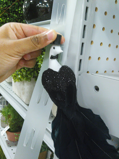 Home Goods Store «At Home», reviews and photos, 3710 Annex Ave, Nashville, TN 37209, USA