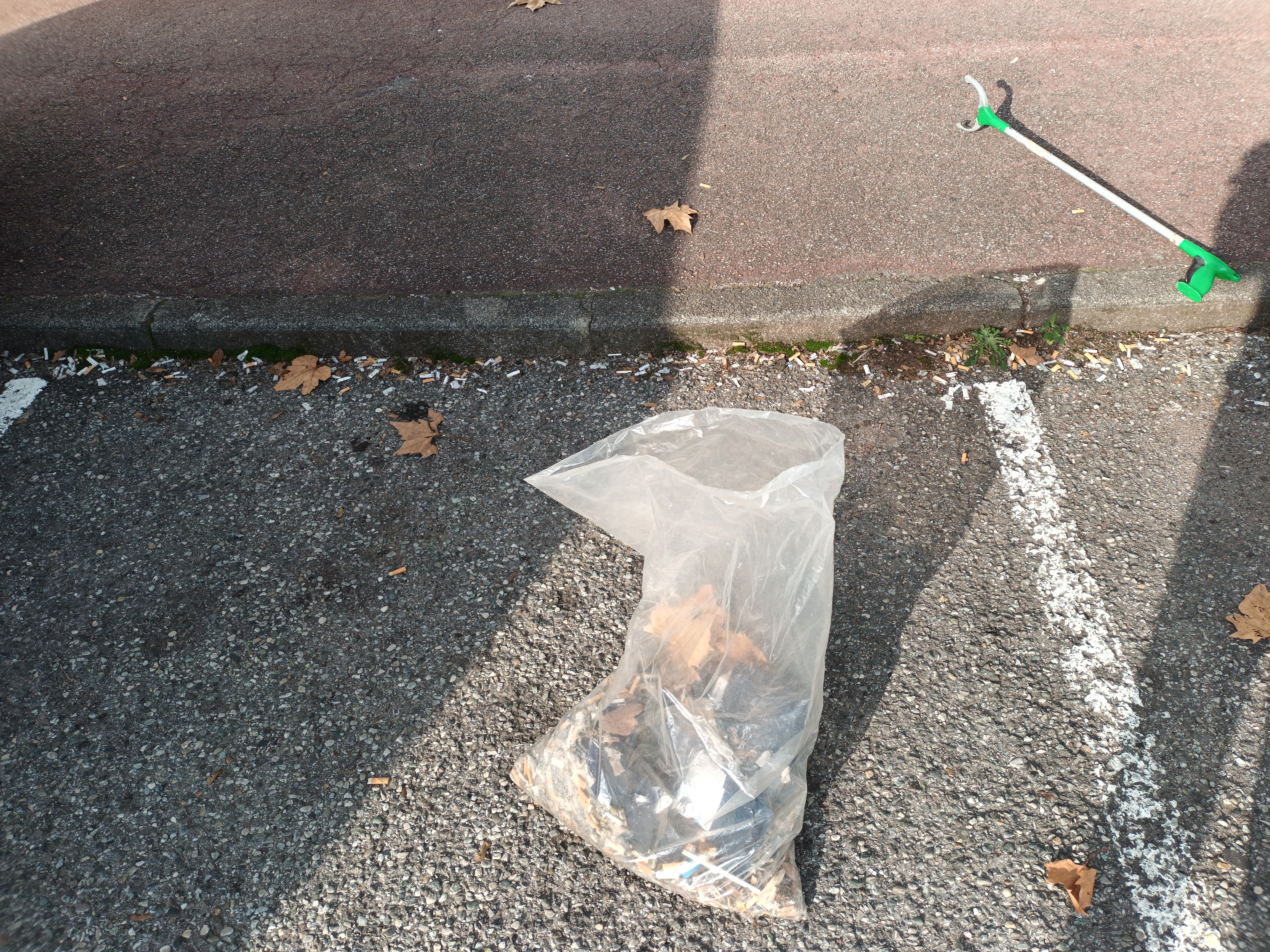 Photo n° 6 de l'avis de bonnet.t fait le 08/11/2021 à 06:28