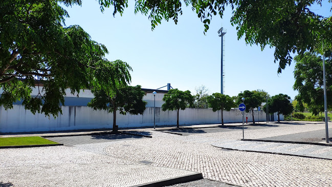 Estádio Municipal de Condeixa - Campo de futebol