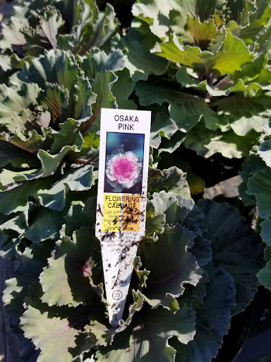 Plant Nursery «Guerin Nursery and Boutique», reviews and photos, 1418 Fall Creek Hwy, Granbury, TX 76049, USA