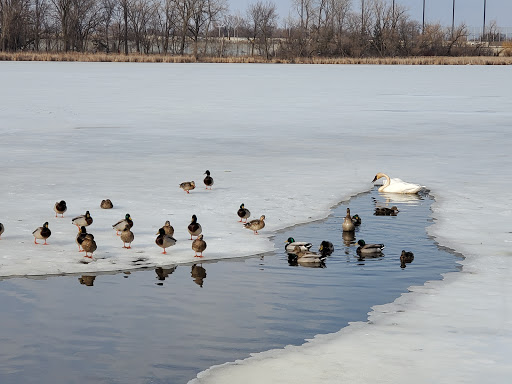 Nature Preserve «Westwood Hills Nature Center», reviews and photos, 8300 W Franklin Ave, St Louis Park, MN 55426, USA
