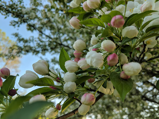 Golf Course «Highland National Golf Course», reviews and photos, 1403 Montreal Avenue, St Paul, MN 55116, USA