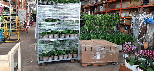 Home Improvement Store «The Home Depot», reviews and photos, 60 Stockwell Dr, Avon, MA 02322, USA