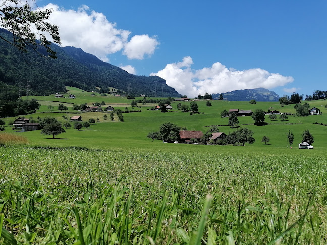 Campingplatz Buosingen - Freienbach
