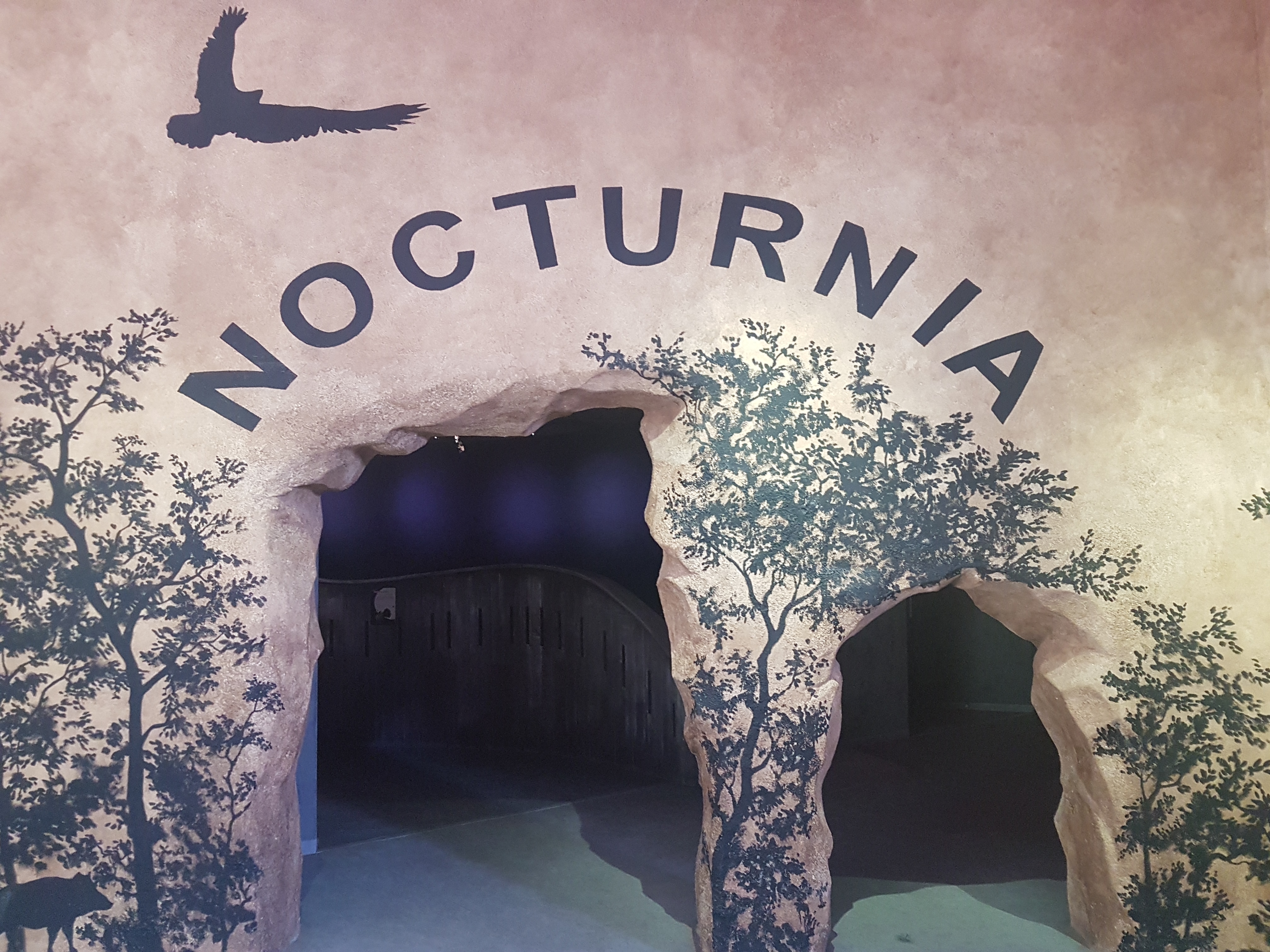 Photo n° 2 de l'avis de Christian. fait le 01/05/2017 à 07:48