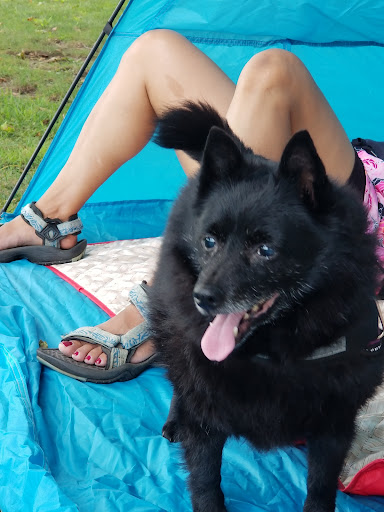 State Park «Abigail Adams State Park», reviews and photos, 770 Bridge St, Weymouth, MA 02188, USA