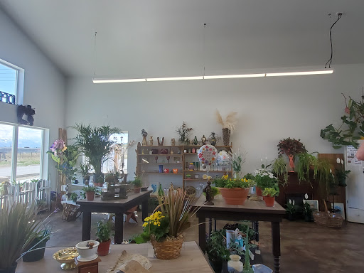 Florist «The Floral Cottage», reviews and photos, 1900 N Last Chance Gulch, Helena, MT 59601, USA