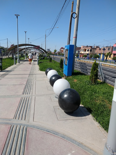 FONGAL TACNA