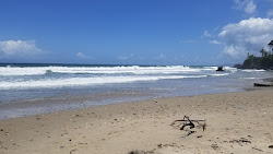 Foto de Damien Bay beach e o assentamento