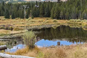 Cucumber Gulch Wildlife Preserve image