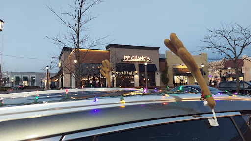 Shopping Mall «Village Of Rochester Hills», reviews and photos, 104 Adams Rd, Rochester, MI 48309, USA